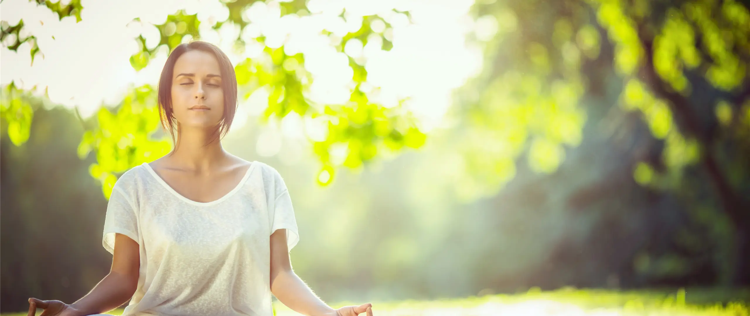 Hier handelt es sich um ein dekoratives Bildelement.