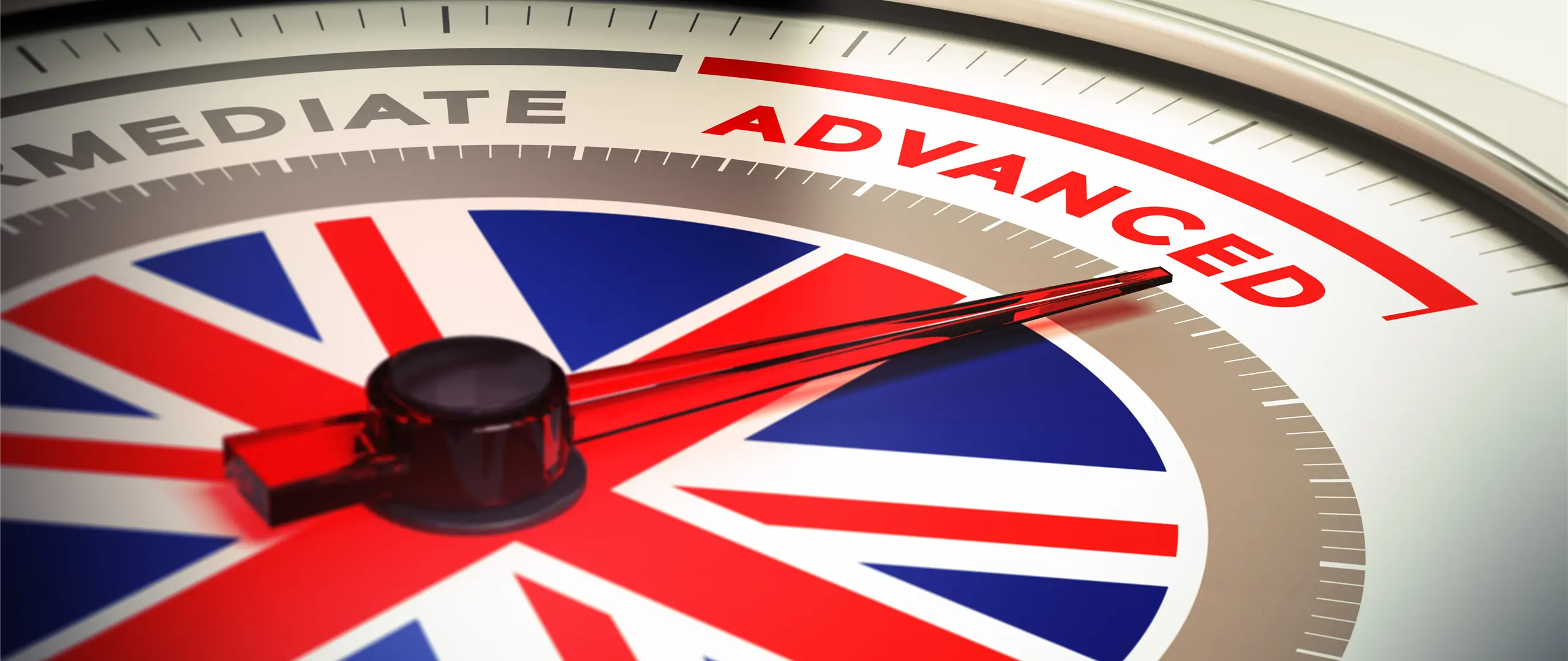 Hier handelt es sich um ein dekoratives Bildelement.