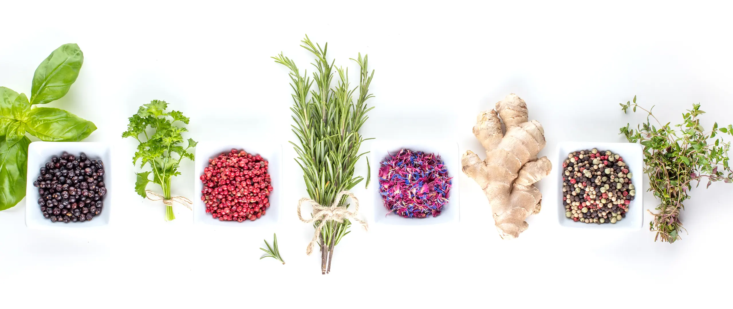 Hier handelt es sich um ein dekoratives Bildelement.