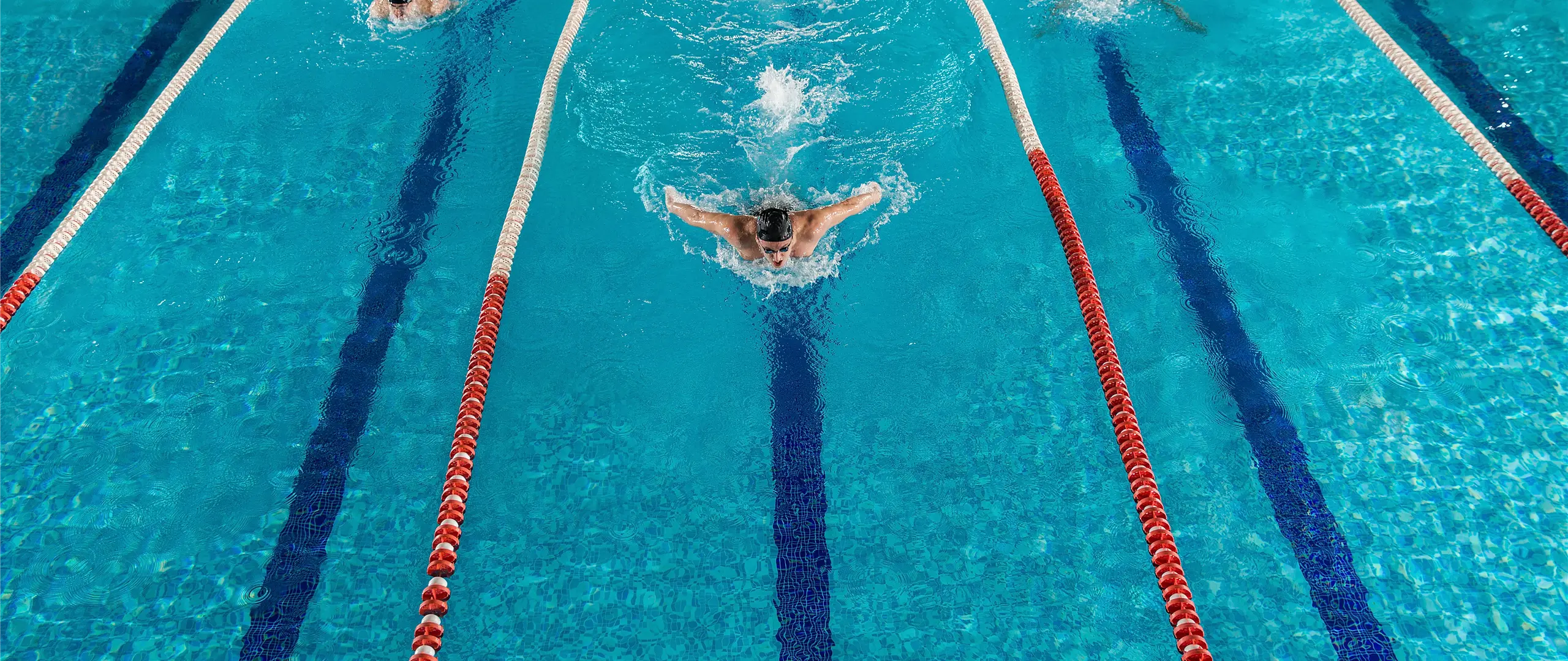 Hier handelt es sich um ein dekoratives Bildelement.