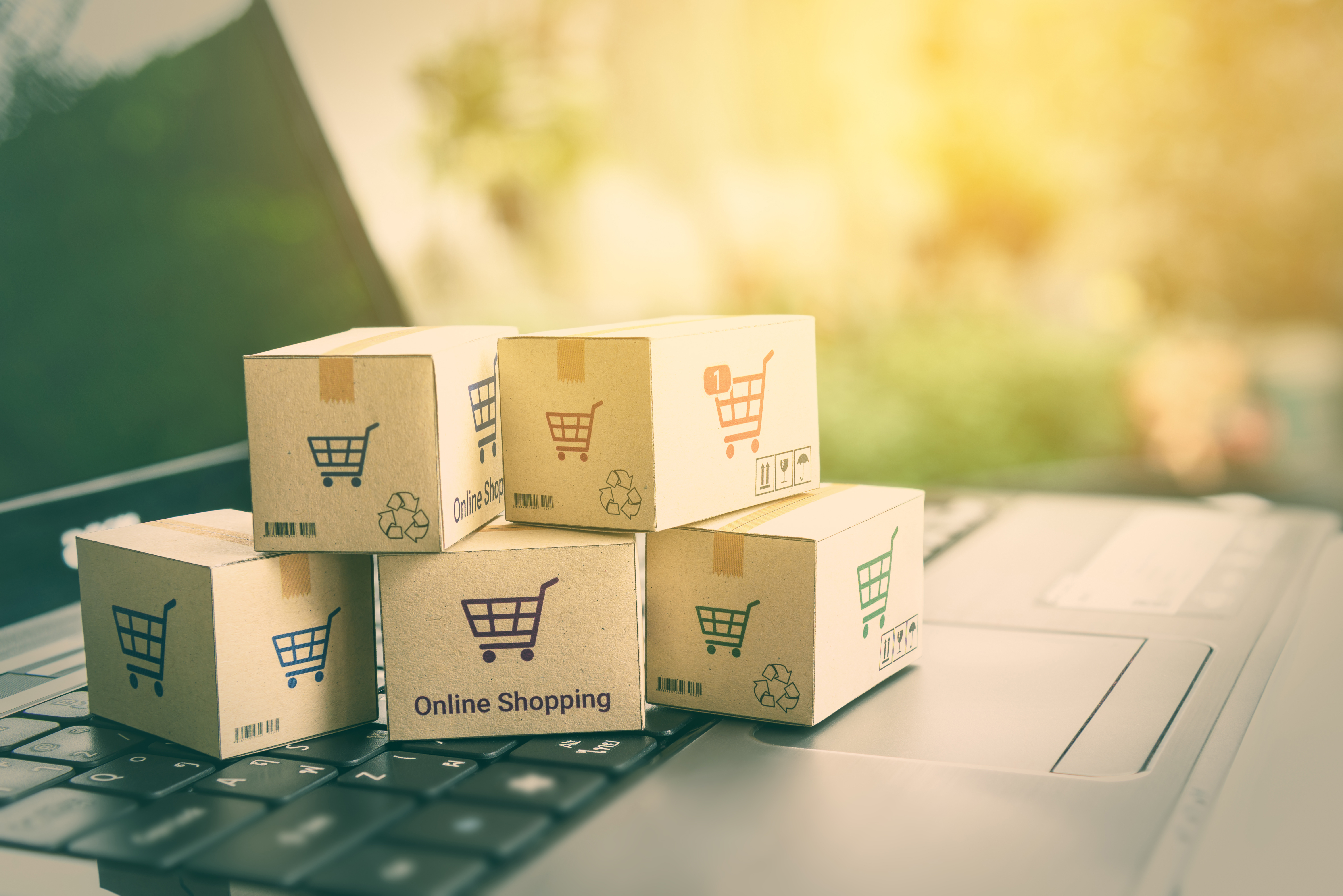 Qualifizierter E-Commerce Experte