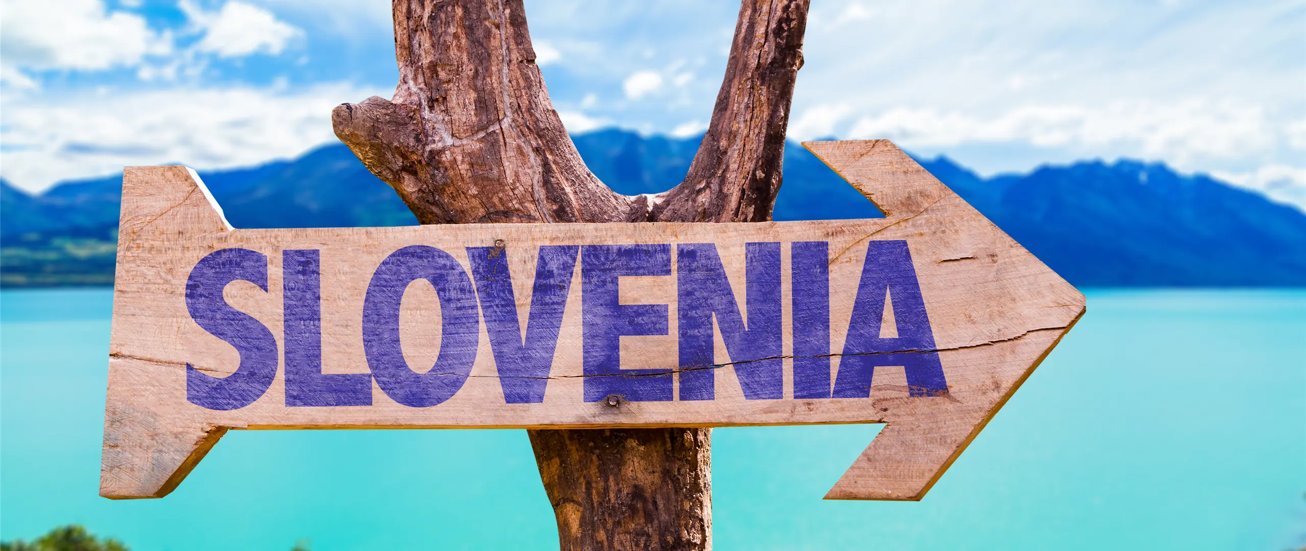 Hier handelt es sich um ein dekoratives Bildelement.