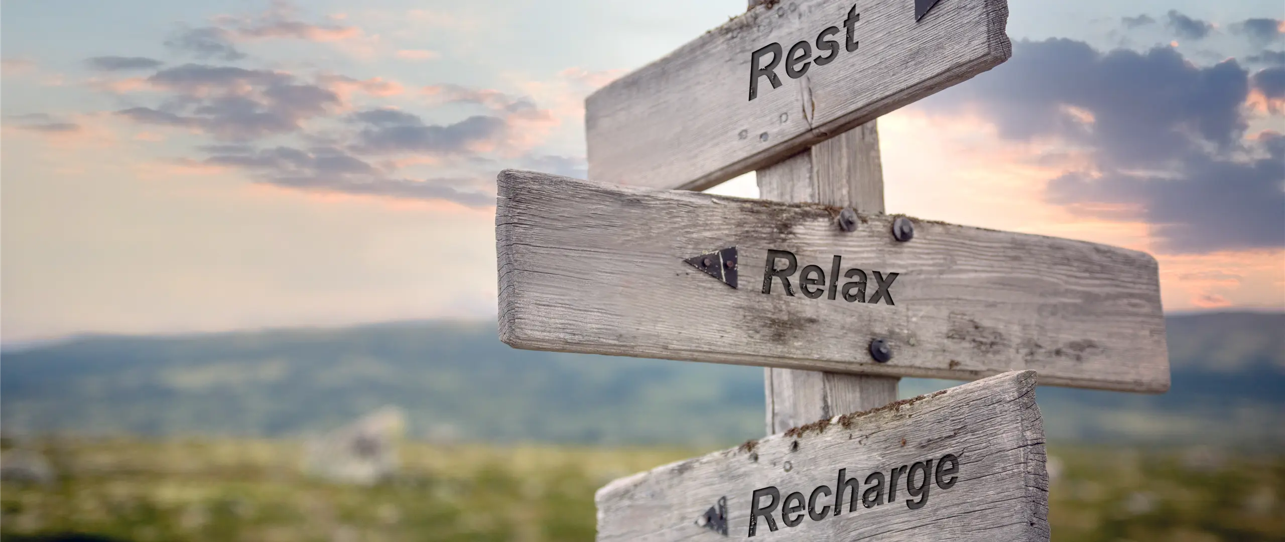 Hier handelt es sich um ein dekoratives Bildelement.